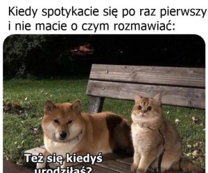 Słabo się klei rozmowa