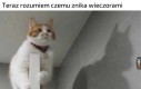 Gotham go potrzebuje