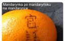 Mandarynkocepcja