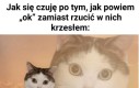 Lekko nie było się powstrzymać