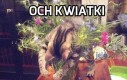 Koteł florysta