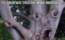 To drzewo trochę mnie niepokoi...