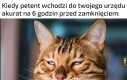 Cóż za 