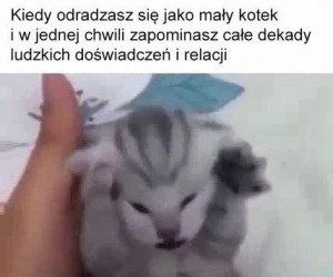 Nienawidzę gdy to się dzieje