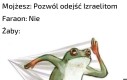 Francuzi by się nie przejęli