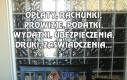 Opłaty, rachunki... i mały kotek