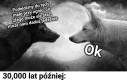 Te oczy mówią wiele...