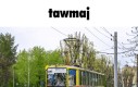 Tawmaj strachskok