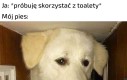 Masz może jakieś smaczki?