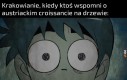 Dla Krakowiaków to za dużo