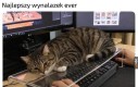 I wszyscy zadowoleni