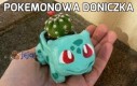 Pokemonowa doniczka