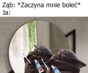Będę myć do skutku