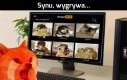 Jak ci idzie?