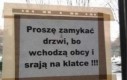 No co pani mnie sra tu tym obcym!