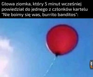 Ale wysoko leci