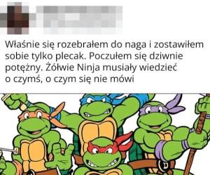 Co za moc
