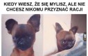 Moja i już