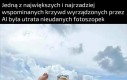 Piękna pani z chorymi pieskami