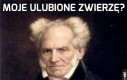 To oczywiste