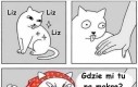 Gdzie mi tu na mokre?