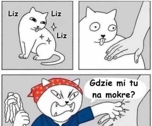 Gdzie mi tu na mokre?