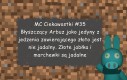 MC Ciekawostki #35