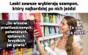 Idealny dla takiej porażki jak ja!