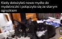 Powstał nowy organizm