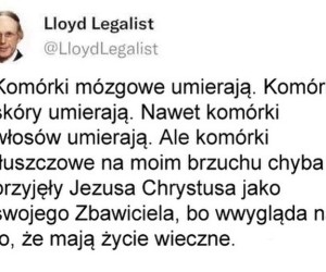 Niezniszczalne
