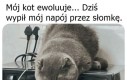 Można