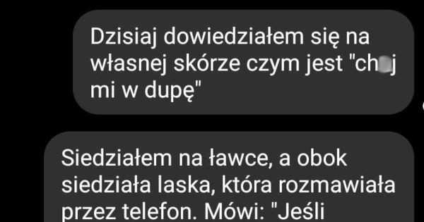 Dzień jak co dzień - Jeja.pl