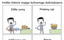 Krótka historia mojego kulinarnego doświadczenia