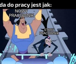 Tak to jest w tej pracy