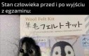 A Wam jak poszły egzaminy?