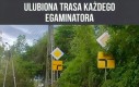 No raczej że ulubiona