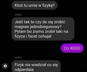 Przeciął magnes na pół