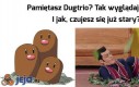 Dugtrio 2017