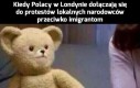 Anglia dla Polaków i ewentualnie Anglików!