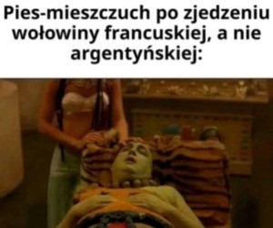 Zupełnie inne parametry psa
