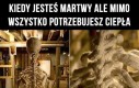 Kości zostały otulone