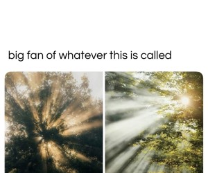 Ładne rzeczy