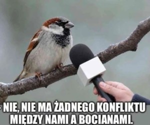 Turysta