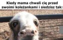 Jestem synem koleżanki Twojej mamy