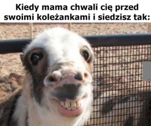 Jestem synem koleżanki Twojej mamy