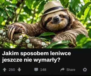 To wiele wyjaśnia