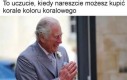 Król już podekscytowany