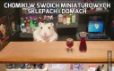 Chomiki w swoich miniaturowych sklepach i domach