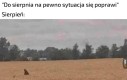 Robi się dziwnie
