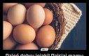 Dzień dobry jejaki! Dzisiaj mamy: Światowy Dzień Jaja